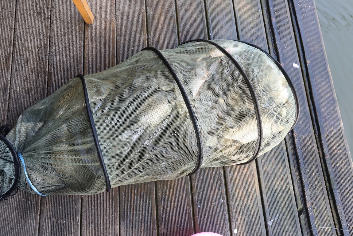 174.JPG