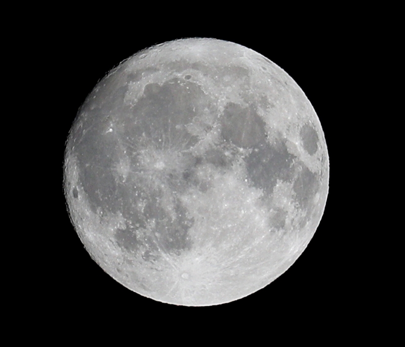 A16I8240.JPG