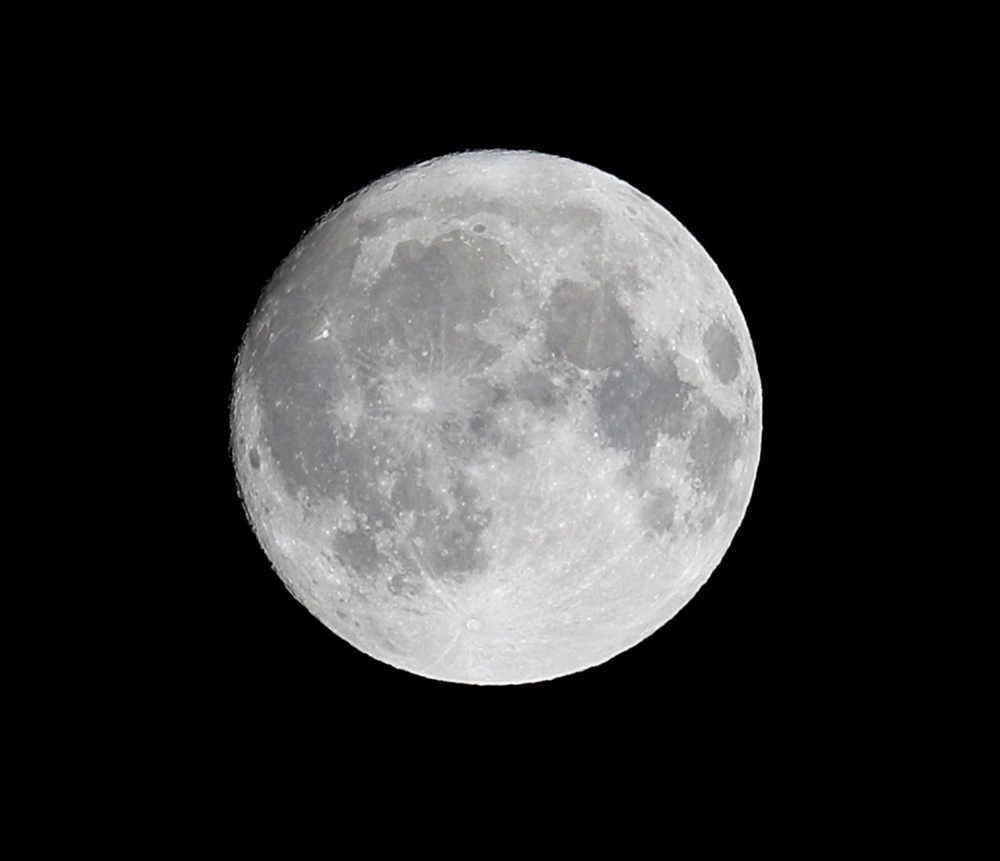 A16I8241.JPG