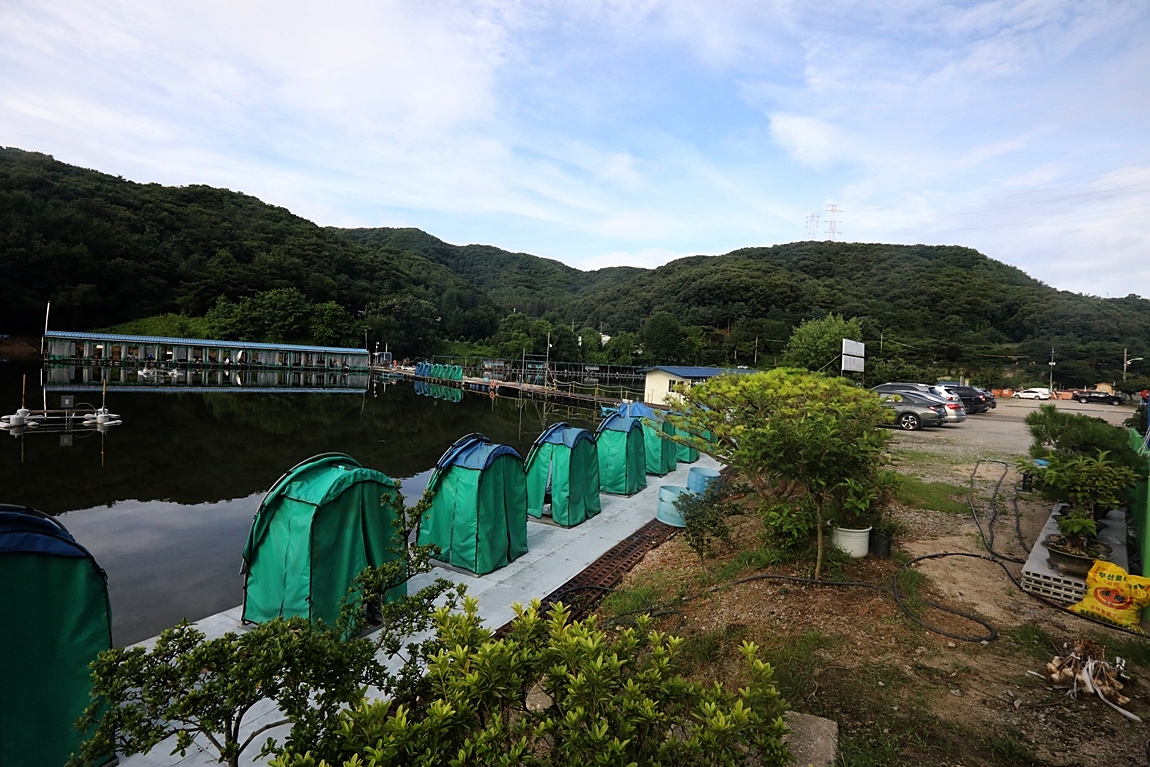 080.JPG