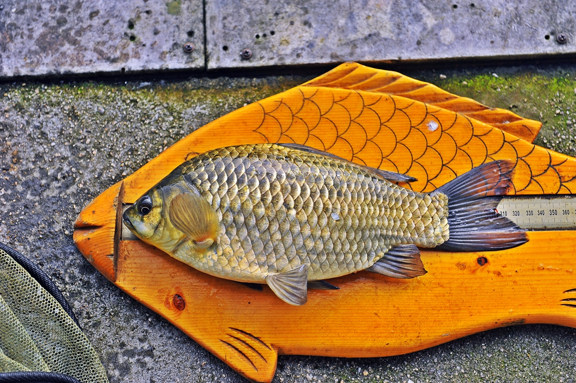 44.JPG