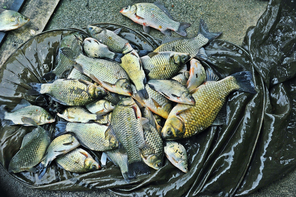 43.JPG