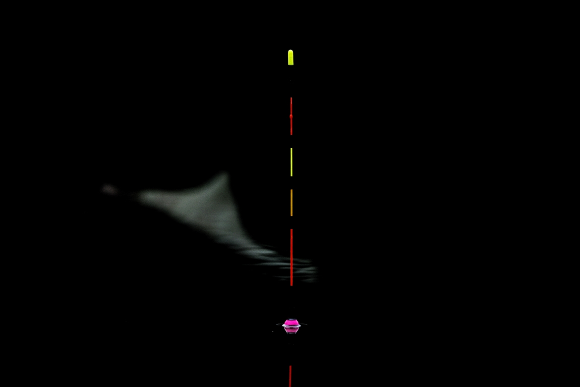 A16I8335.JPG