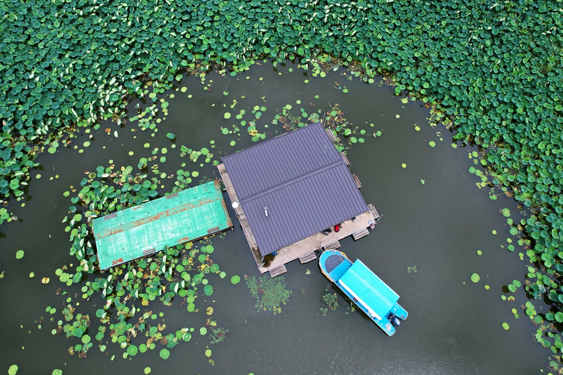 DJI_0232.JPG