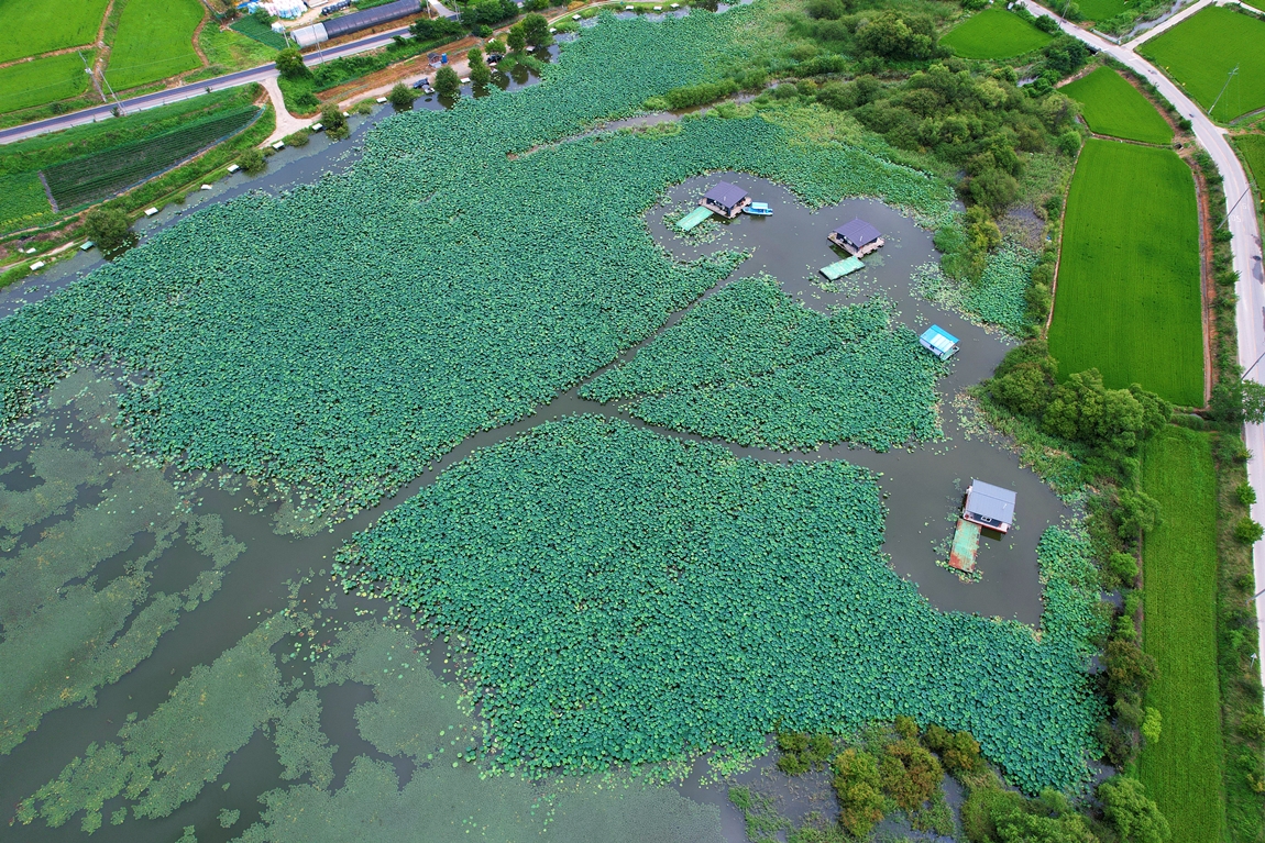 DJI_0226.JPG