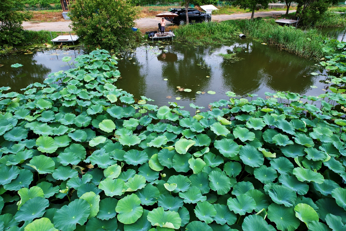 DJI_0235.JPG