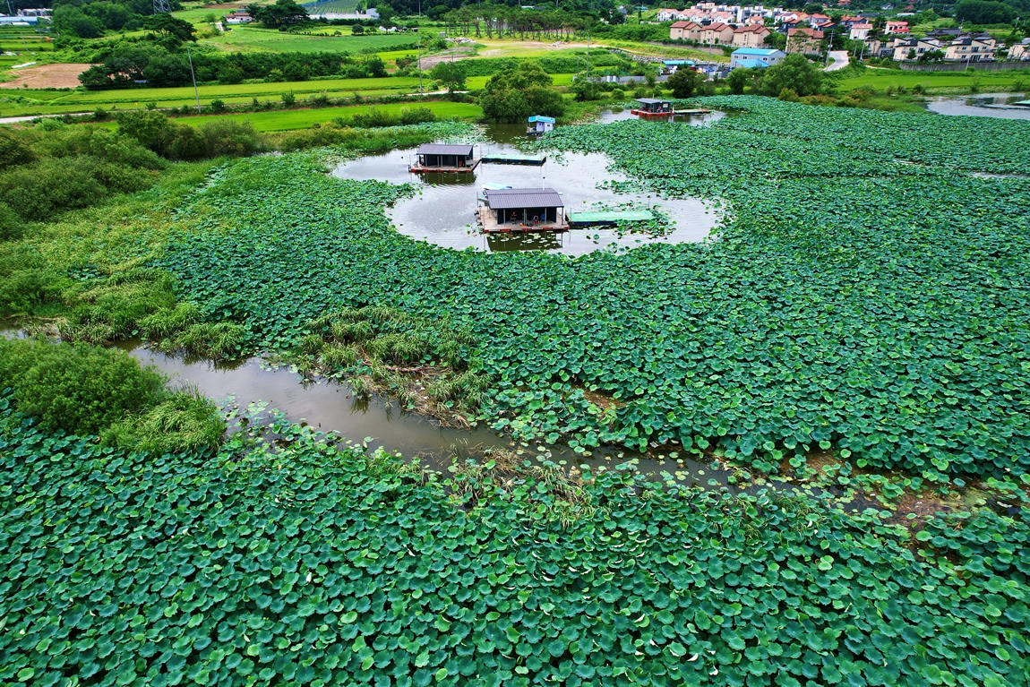 DJI_0238.JPG