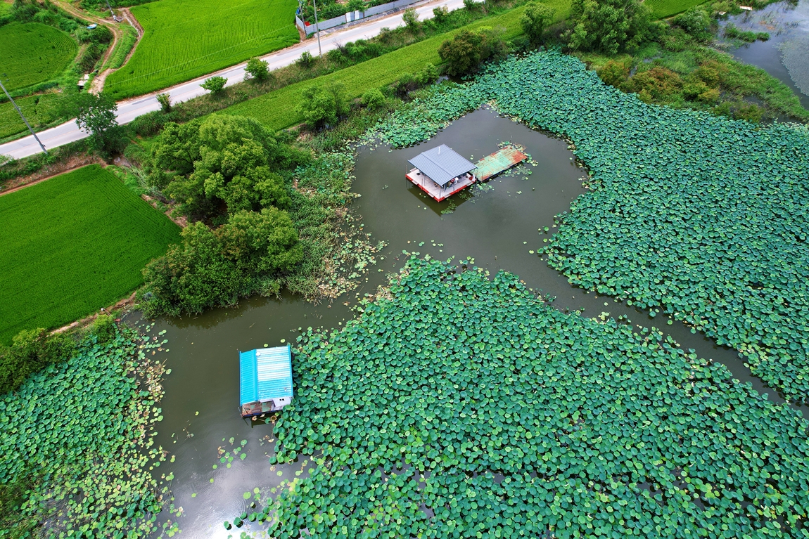 DJI_0246.JPG