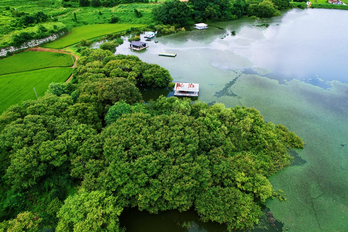 DJI_0250.JPG
