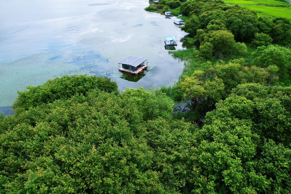 DJI_0262.JPG