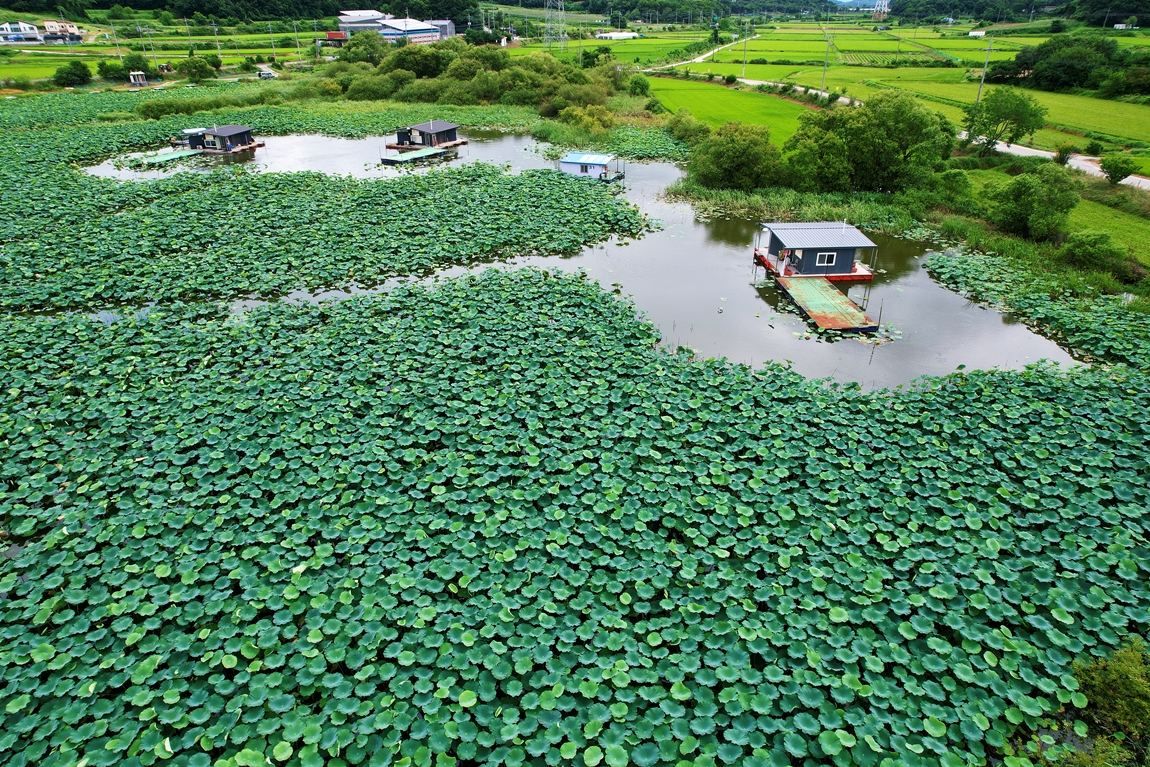 DJI_0283.JPG