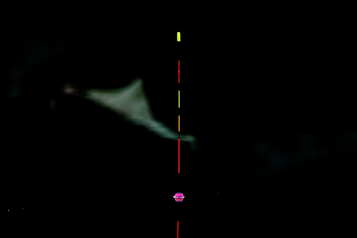 A16I8331.JPG