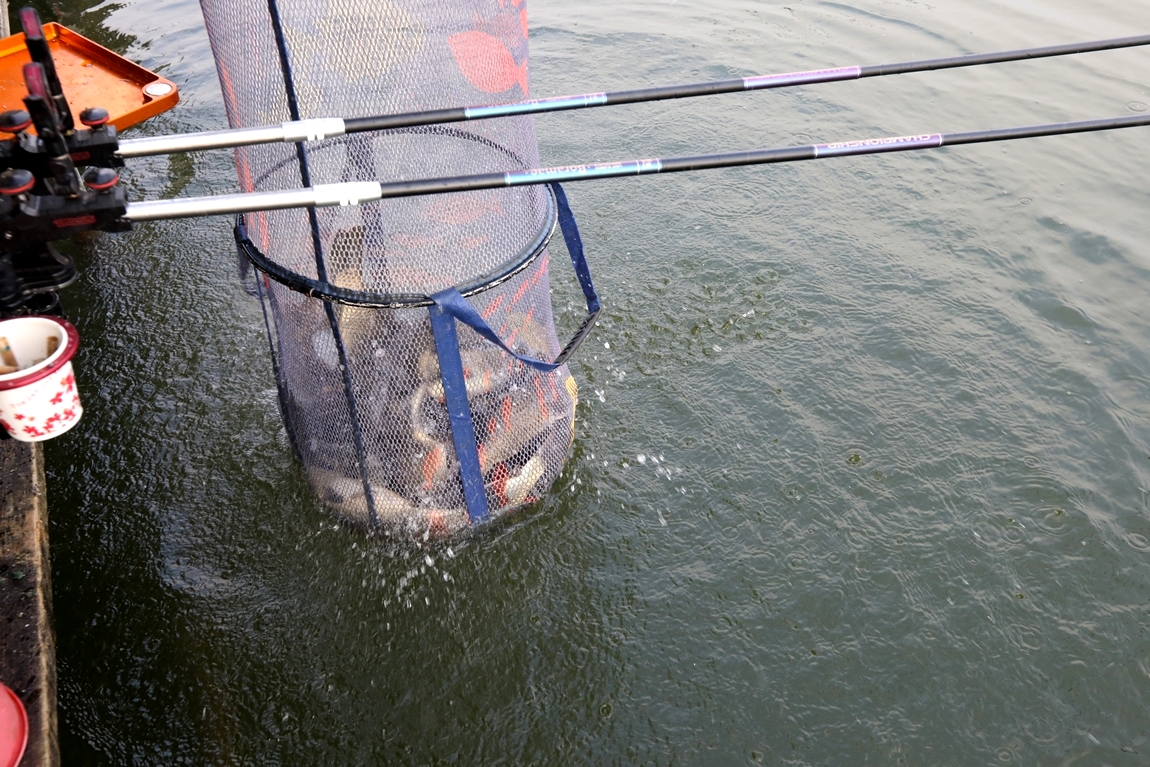 253.JPG