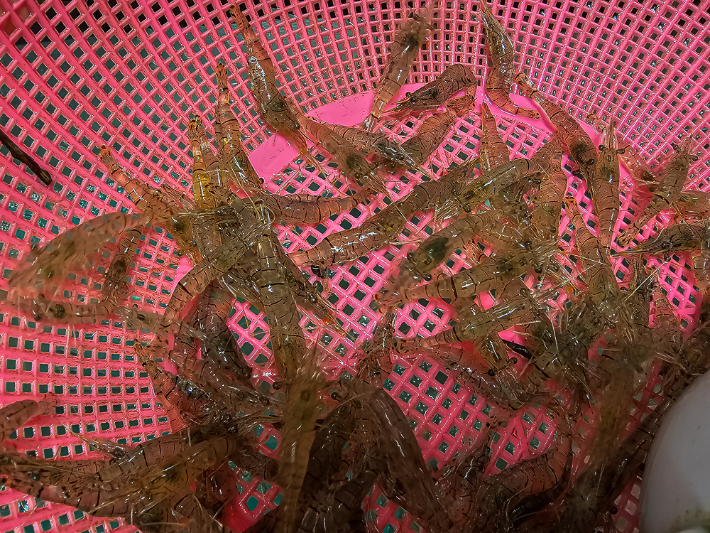 20240808_130049.jpg