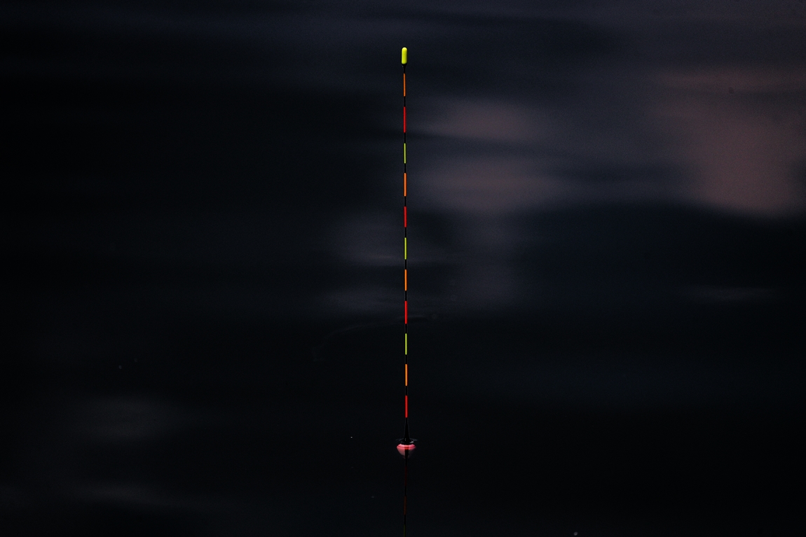 A16I8450.JPG