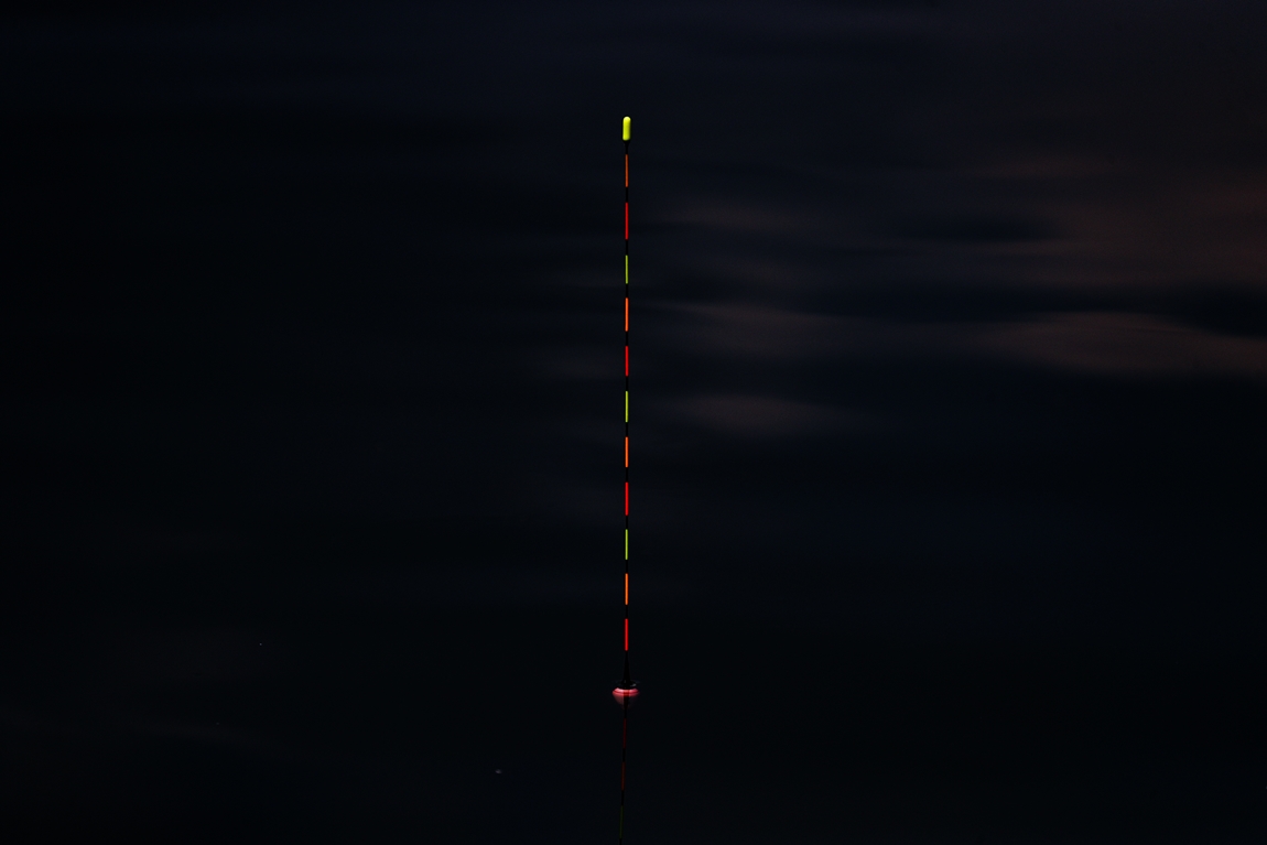 A16I8451.JPG