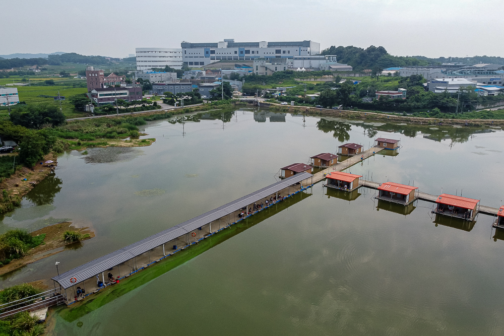 DJI_0110.jpg