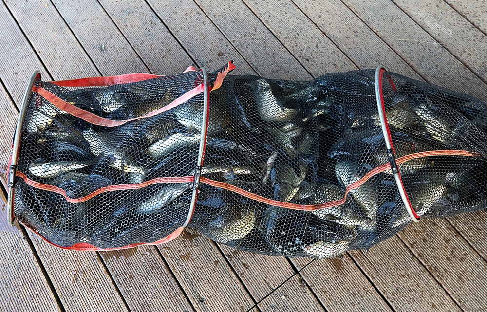 20240814133632_hdpe-2.jpg