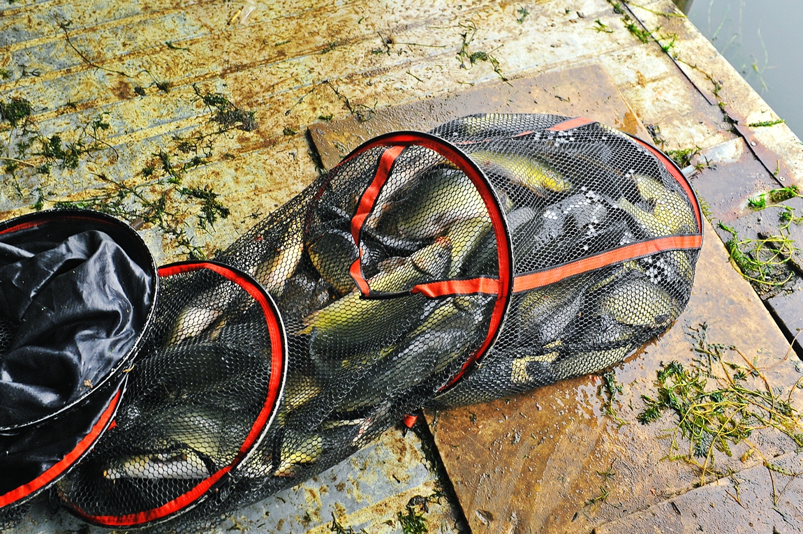 28.JPG