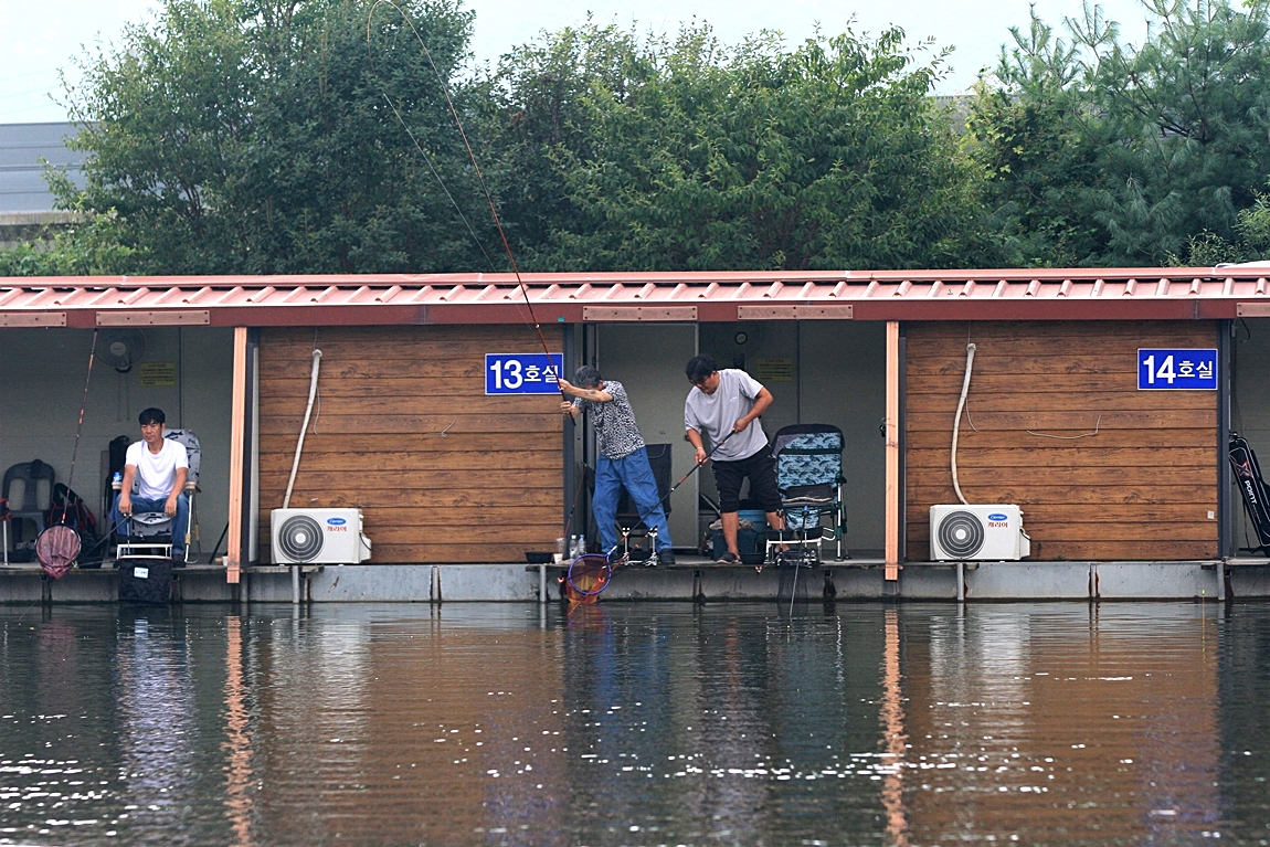 266.JPG