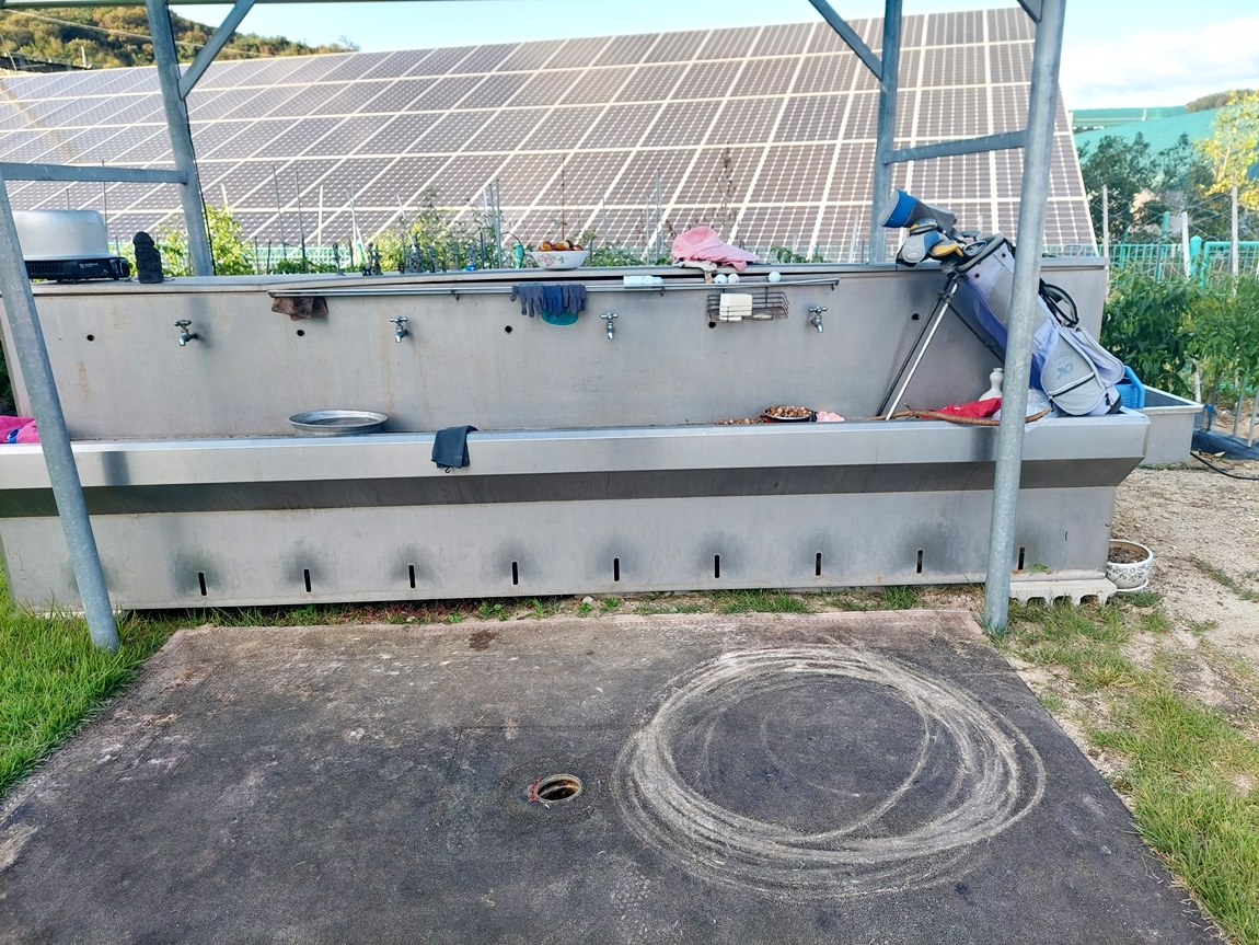 20241008_164138 - ���纻.jpg