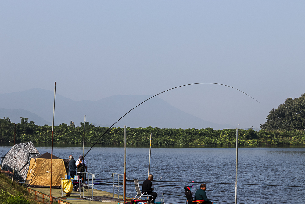 IMG_2607.jpg