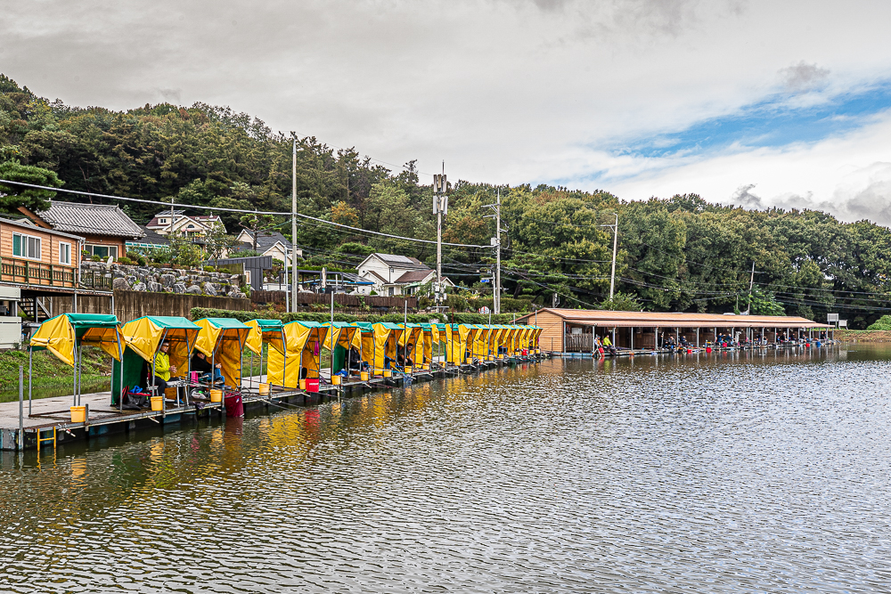 層-12.jpg