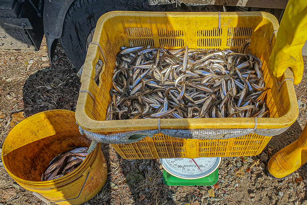 -19.jpg