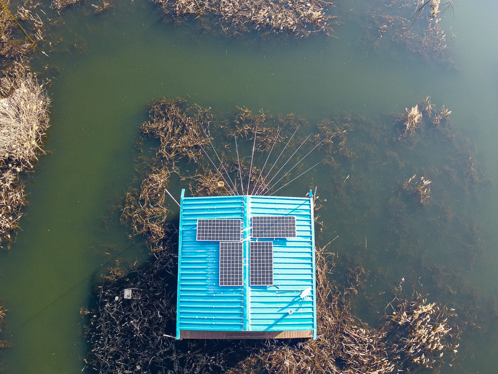DJI_0205.jpg
