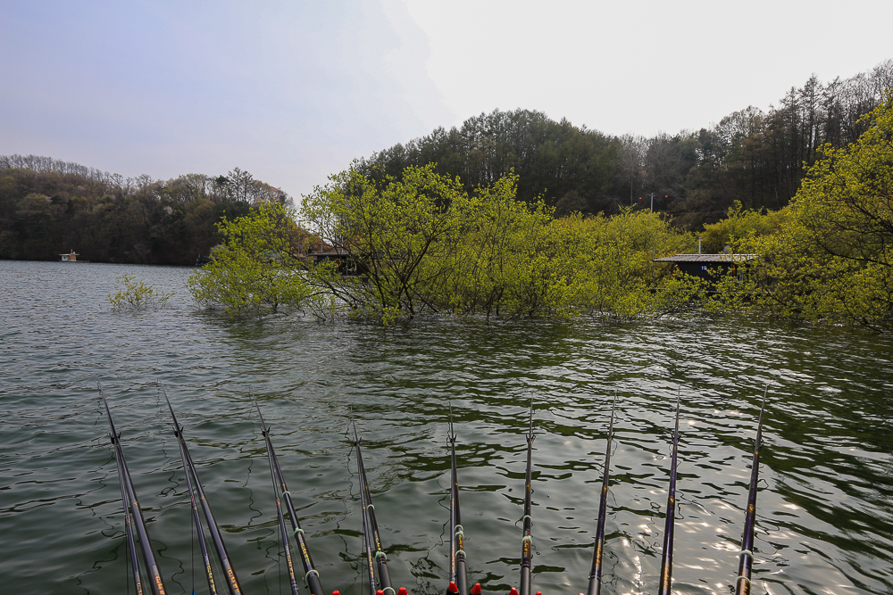 IMG_4450.jpg