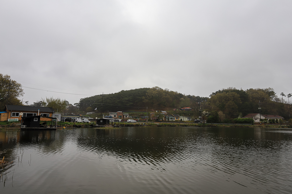 IMG_4565.jpg