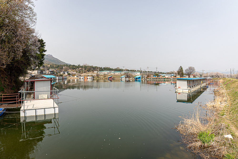 ʿ-19.jpg