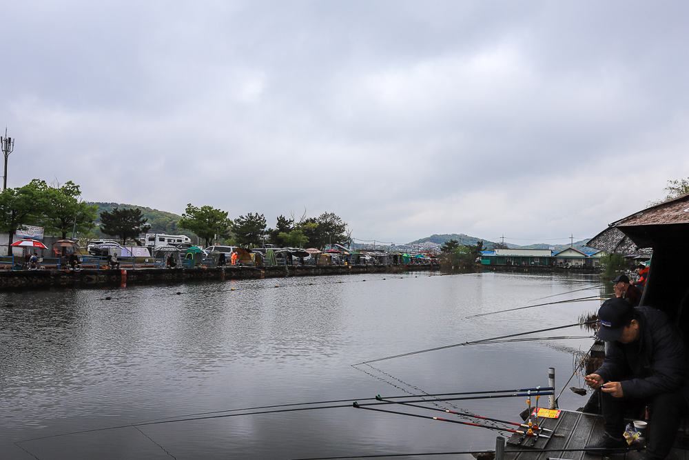 IMG_5250.jpg