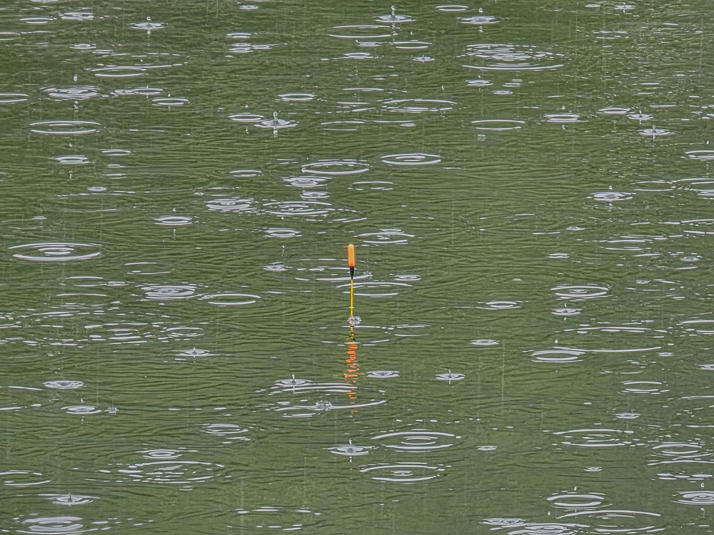 20250509_103440.jpg