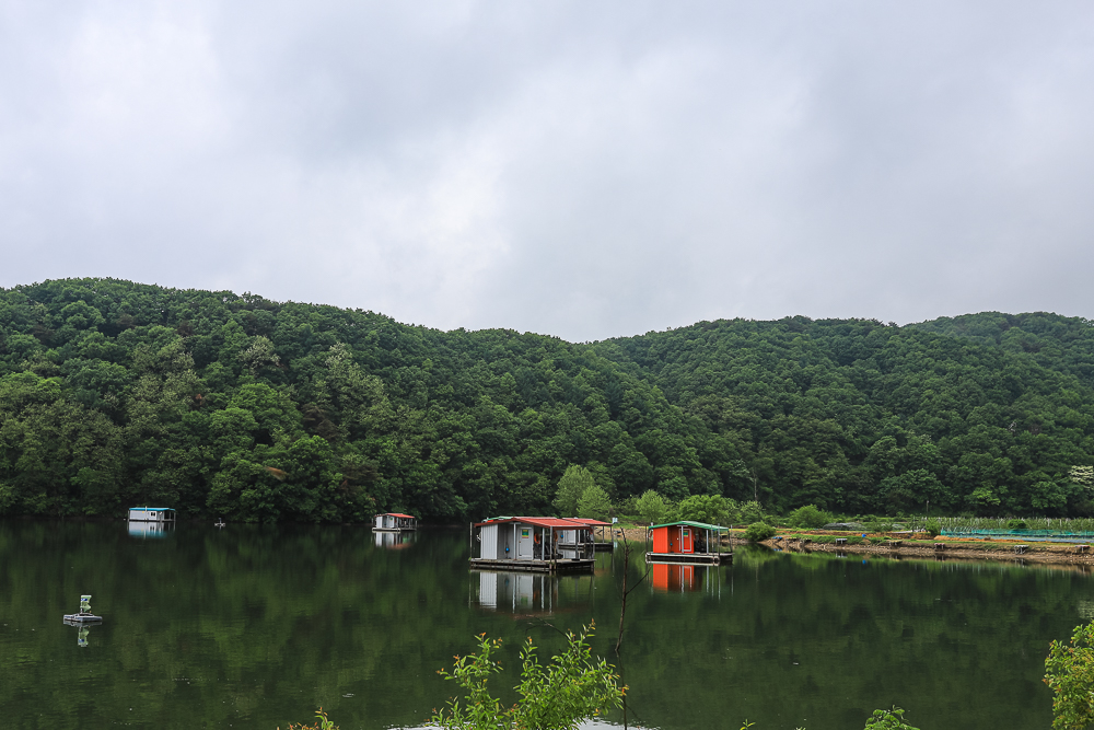 IMG_5470.jpg
