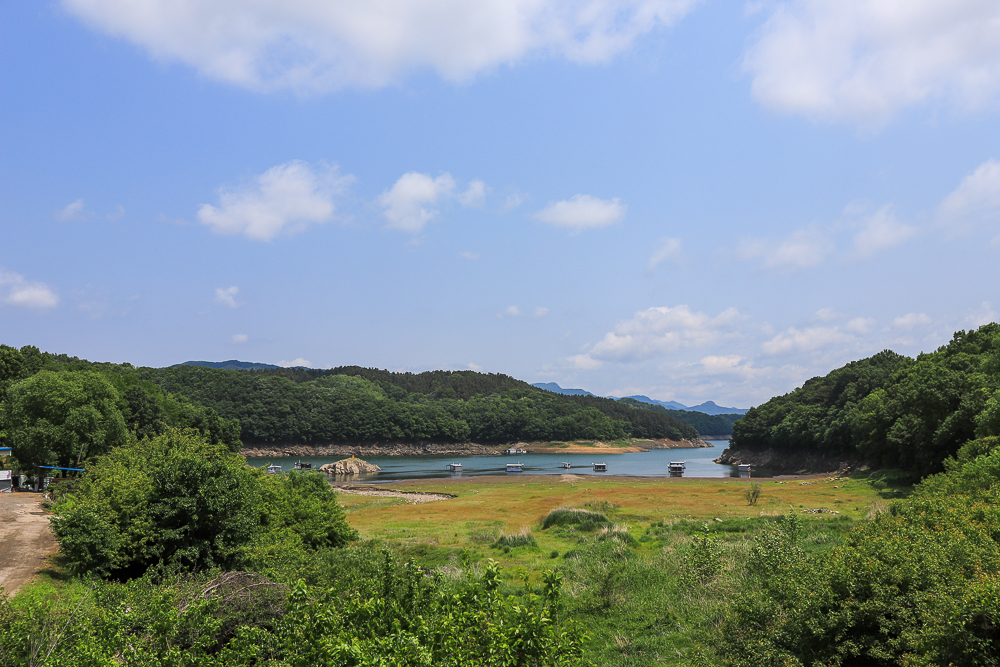 IMG_5943.jpg