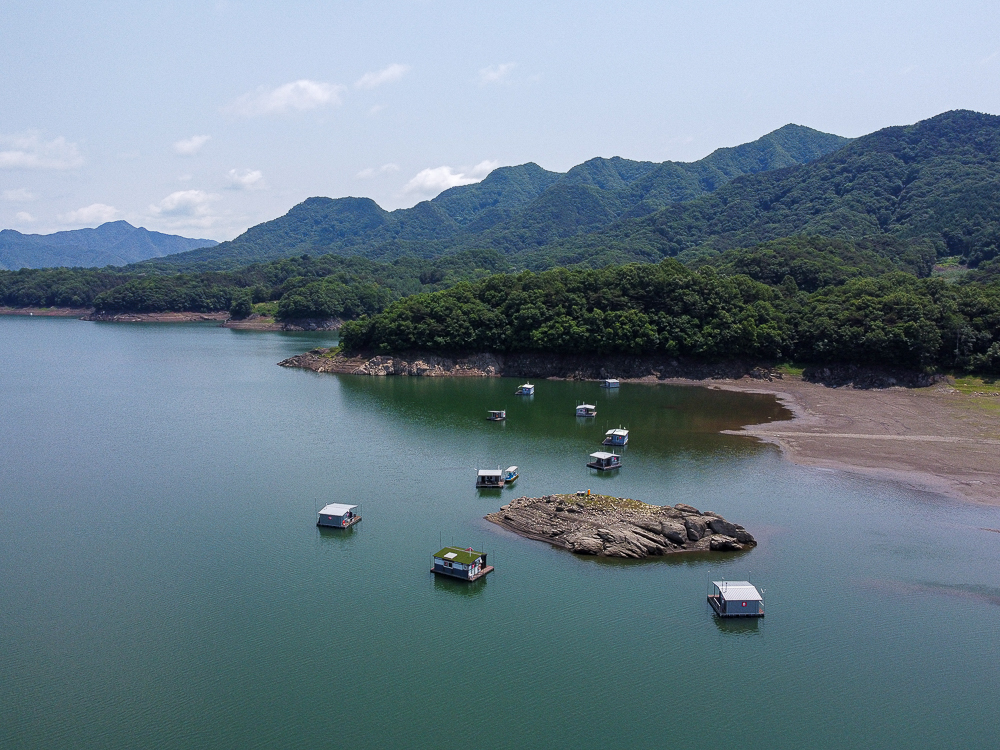 DJI_0336.jpg