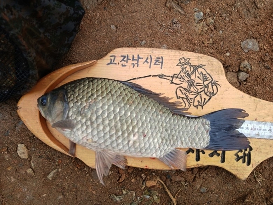 357.jpg