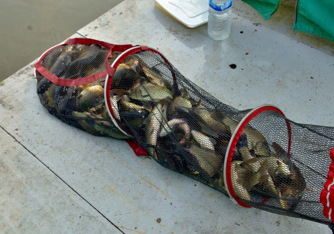 67.JPG