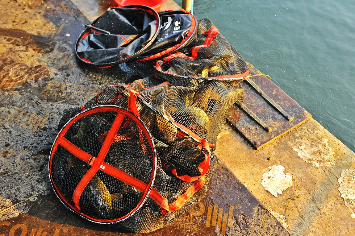 42.JPG