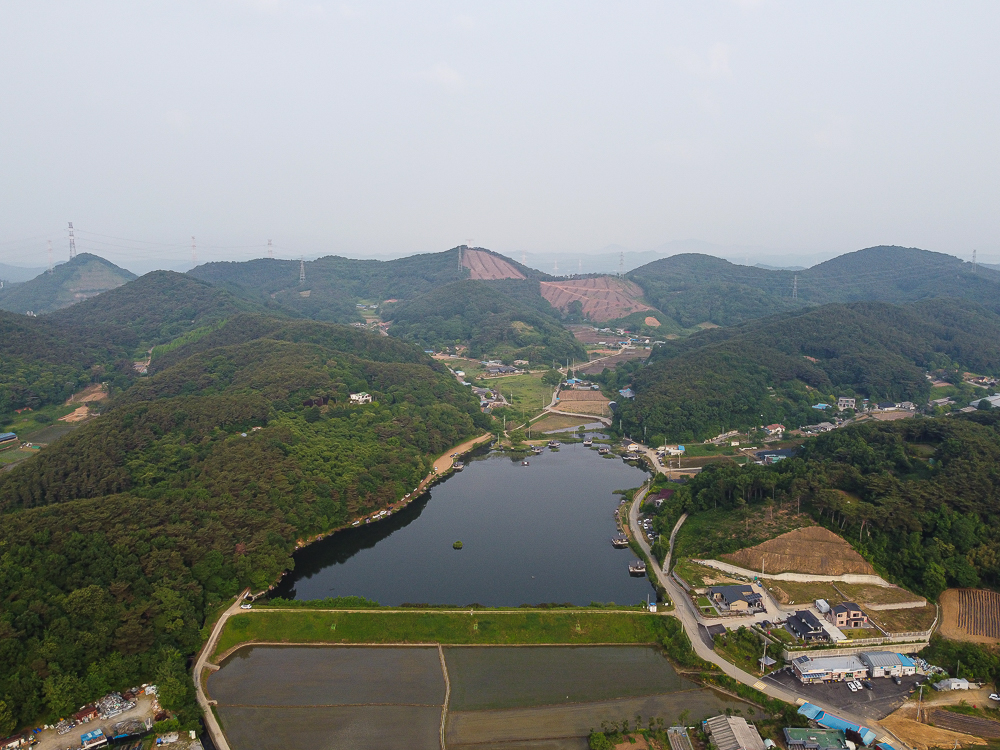 DJI_0356.jpg