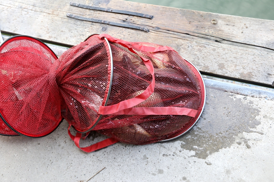 125.JPG
