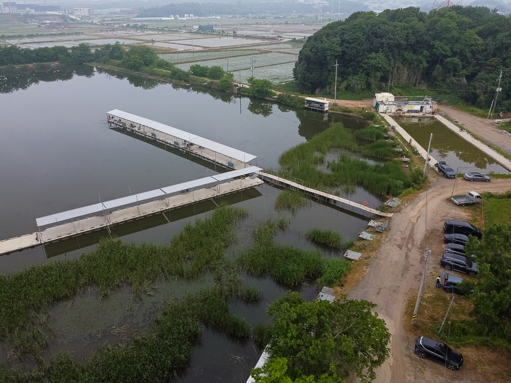 DJI_0381.jpg
