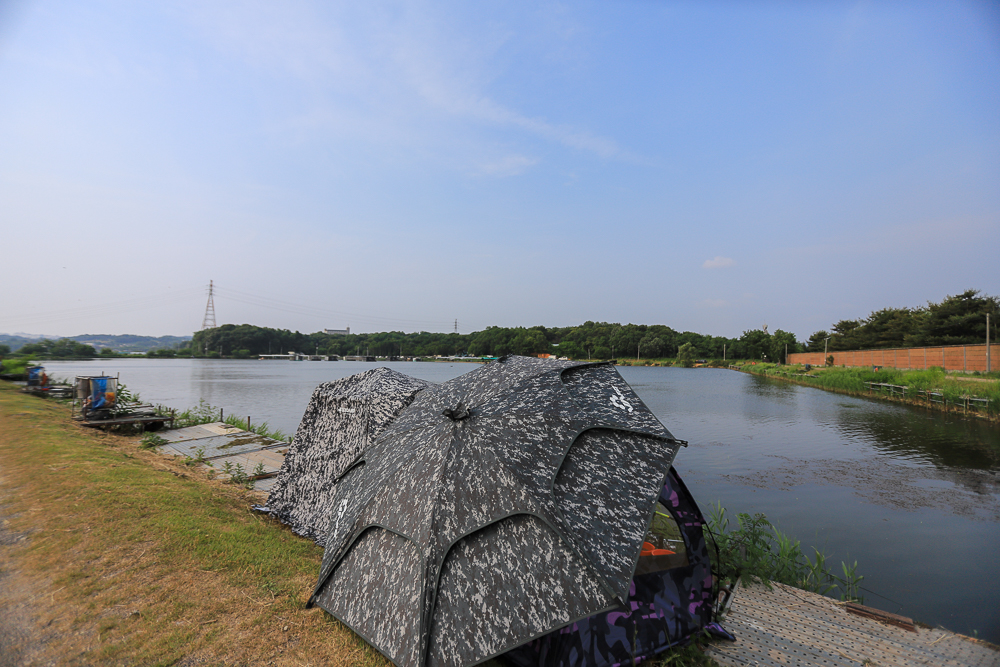 IMG_6429.jpg