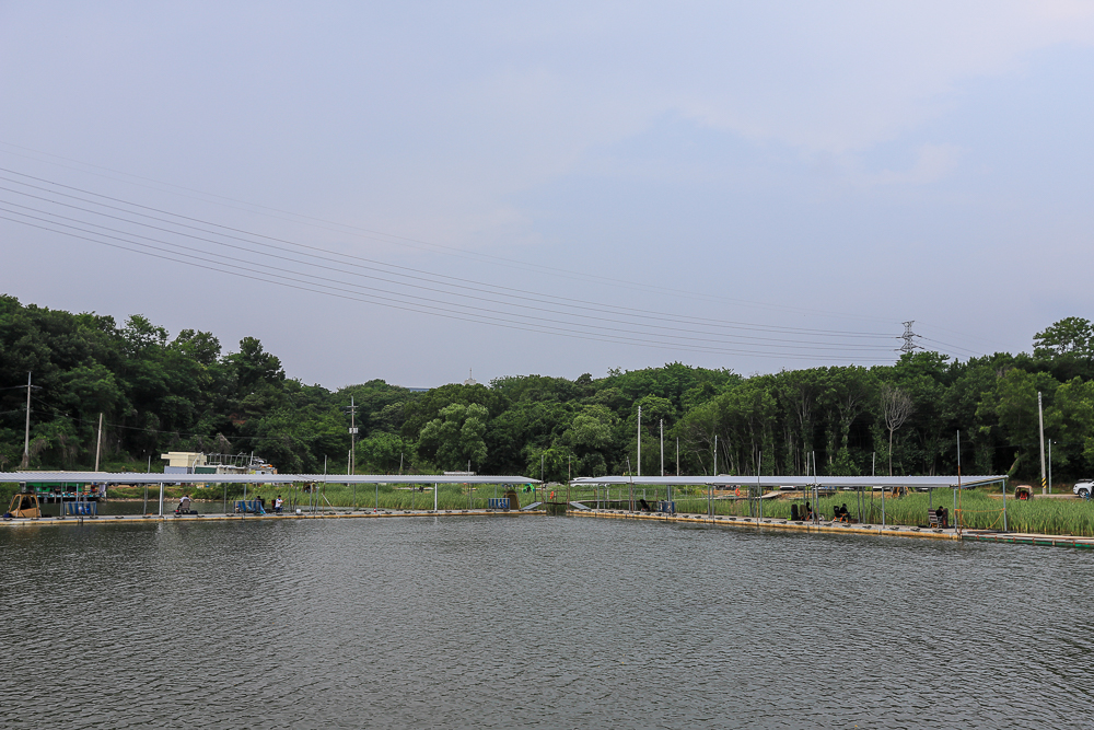 IMG_6392.jpg