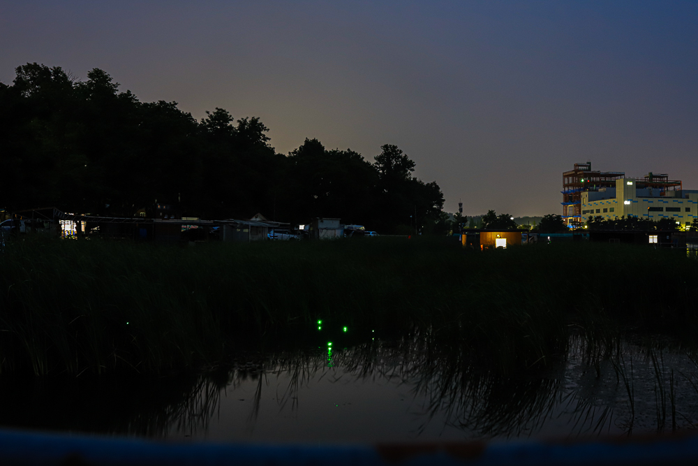 IMG_6445.jpg