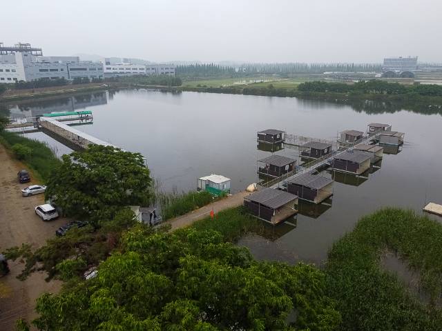 DJI_0380.jpg