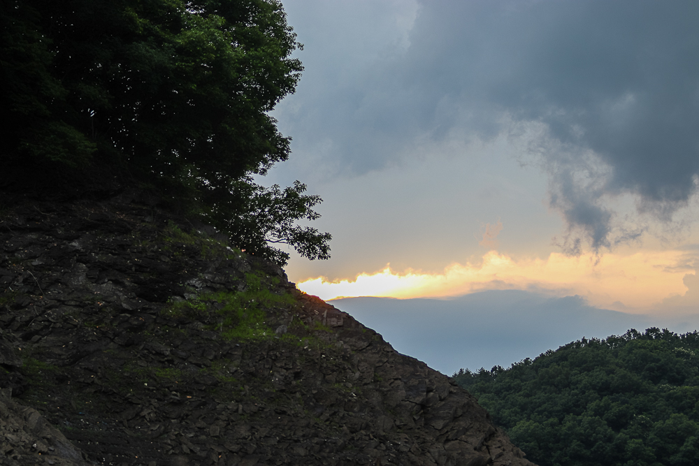 IMG_5206.jpg