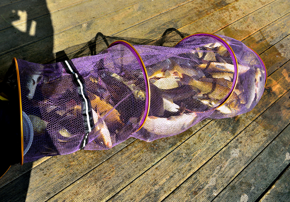 55.JPG