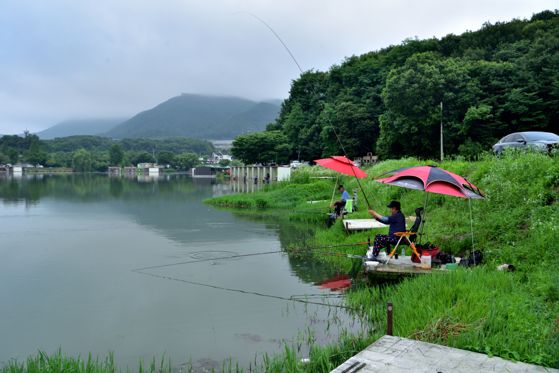 DSC_5602.JPG